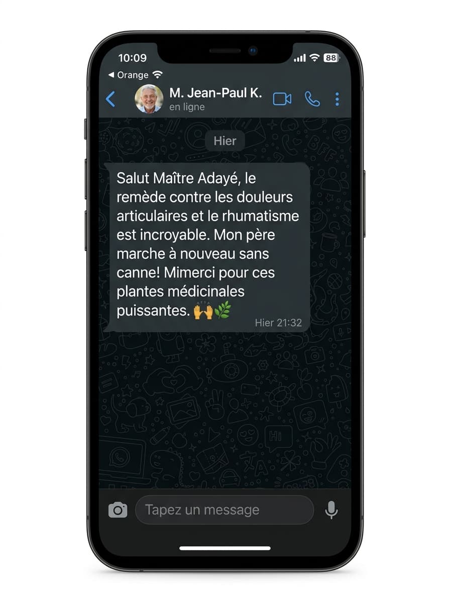Capture WhatsApp de M. Jean-Paul K.